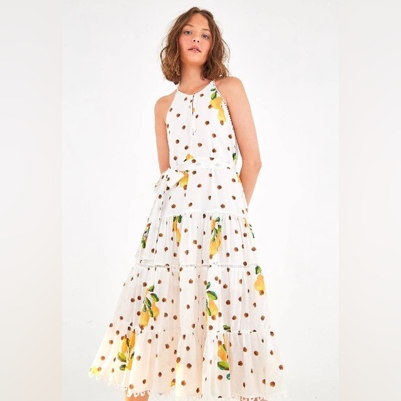 Farm Rio Cashew dot sleeveless midi dress NWT from Anthropologie - Picture 2 of 2